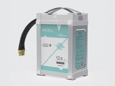 12S16AH <br>Intelligent Battery