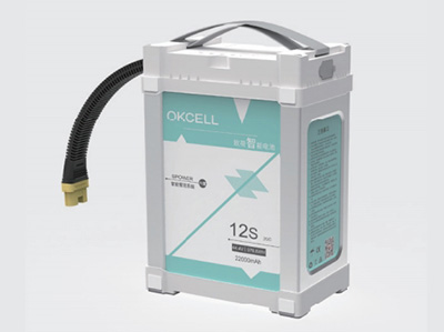 12S22AH <br>Intelligent Battery
